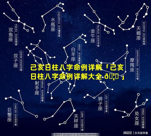 己亥日柱八字命例详解「己亥日柱八字命例详解大全 🦁 」